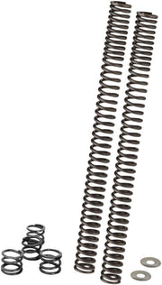 Progressive Suspension Front Fork Springs for 2015-2024 Indian Scout Motorcycles