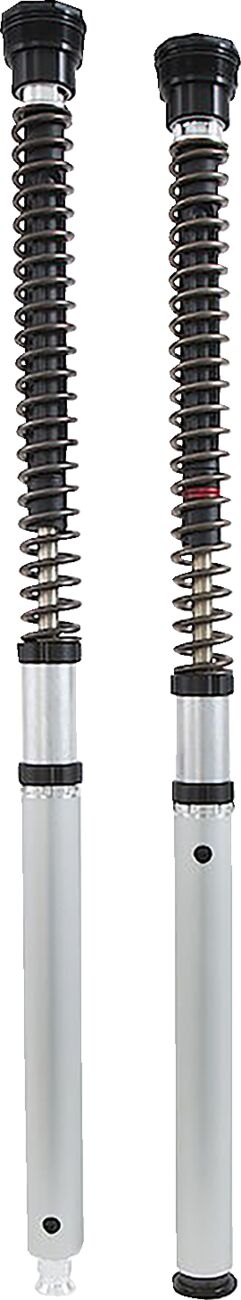 FGK Road/Track 30 mm Front Fork Cartridge Kit