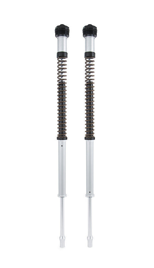 Ohlins CARTRIDGE KIT NIX 22 for 2019-2024 YAMAHA YZF-R3 Silver Fork Aluminium Pair