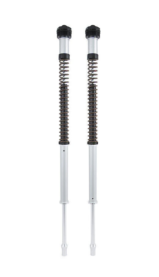 Ohlins CARTRIDGE KIT NIX 22 for 2019-2024 YAMAHA YZF-R3 Silver Fork Aluminium Pair #21944-01