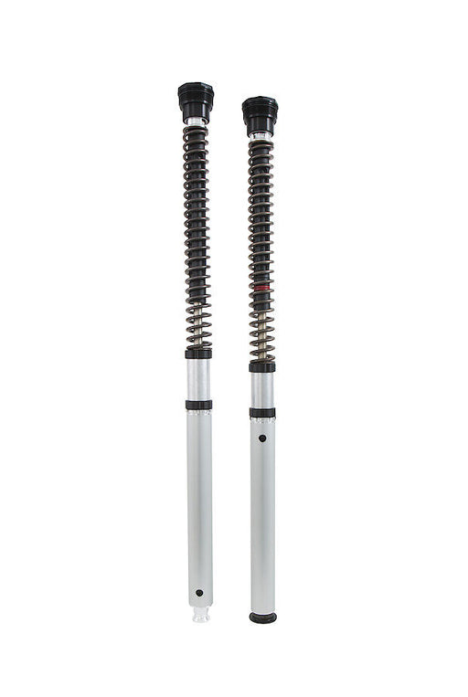 Ohlins CARTRIDGE KIT NIX 22 for 2013-2023 KAWASAKI ZX-6 R 636 Silver Fork Aluminium Pair