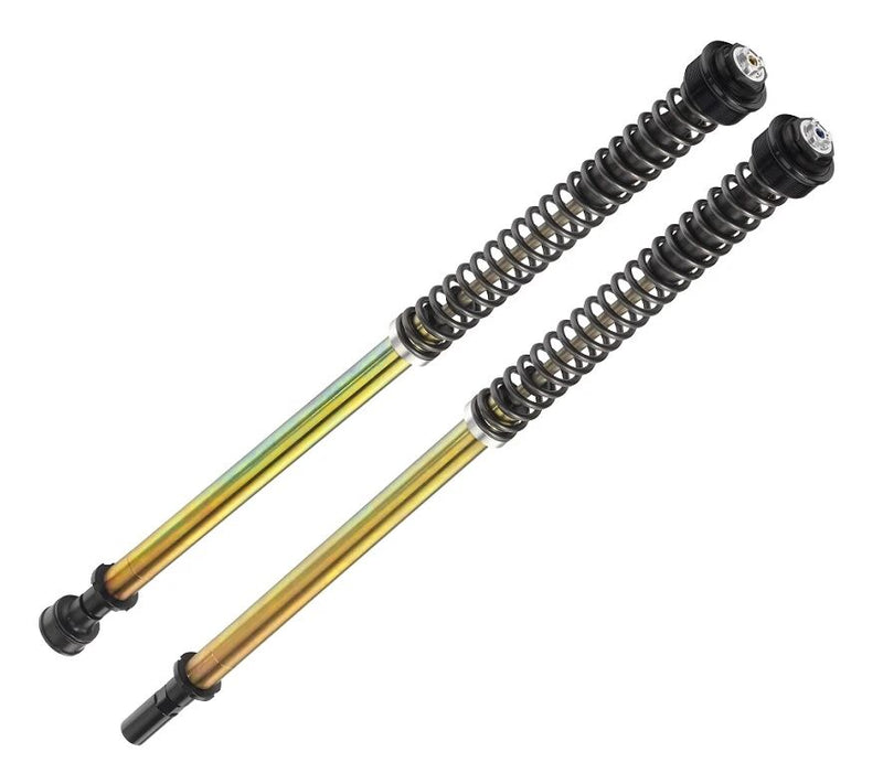 Bitubo S.R.L. ABA Series Fork Cartridge for 2018-2025 Harley-Davidson Black Gold Steel Pair