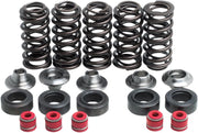 Kibblewhite Valve Spring Kit for 1998-2002 YAMAHA Lightweight Racing Chrome-Silicon #80-80100