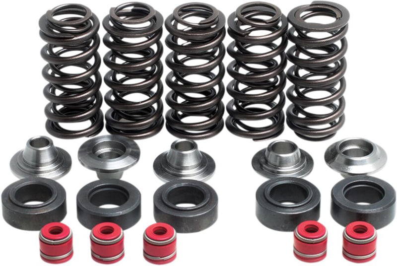 Kibblewhite Valve Spring Kit for 1998-2002 YAMAHA Lightweight Racing Chrome-Silicon #80-80100