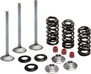 Kibblewhite Intake Stainless Conversion Valve and Spring Kit for 2003-2017 YAMAHA White Diamond® Stainless