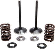 Kibblewhite Intake Stainless Conversion Valve and Spring Kit for 2005-2018 HONDA CRF 450 X Black Diamond™ Stainless