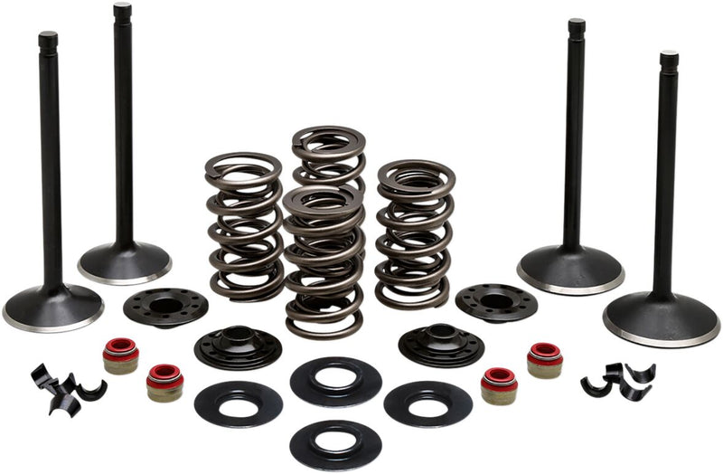 Kibblewhite Engine Valve Kit for 1999-2004 Harley-Davidson Engine Kit Black Diamond™ Stainless