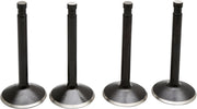 Kibblewhite Black Diamond™ Engine Valve Kit for 1966-1977 Harley-Davidson Standard Stainless Steel