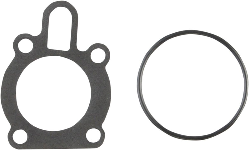 Oil Pump Gasket