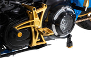 Derby Cover Touring,
Trike