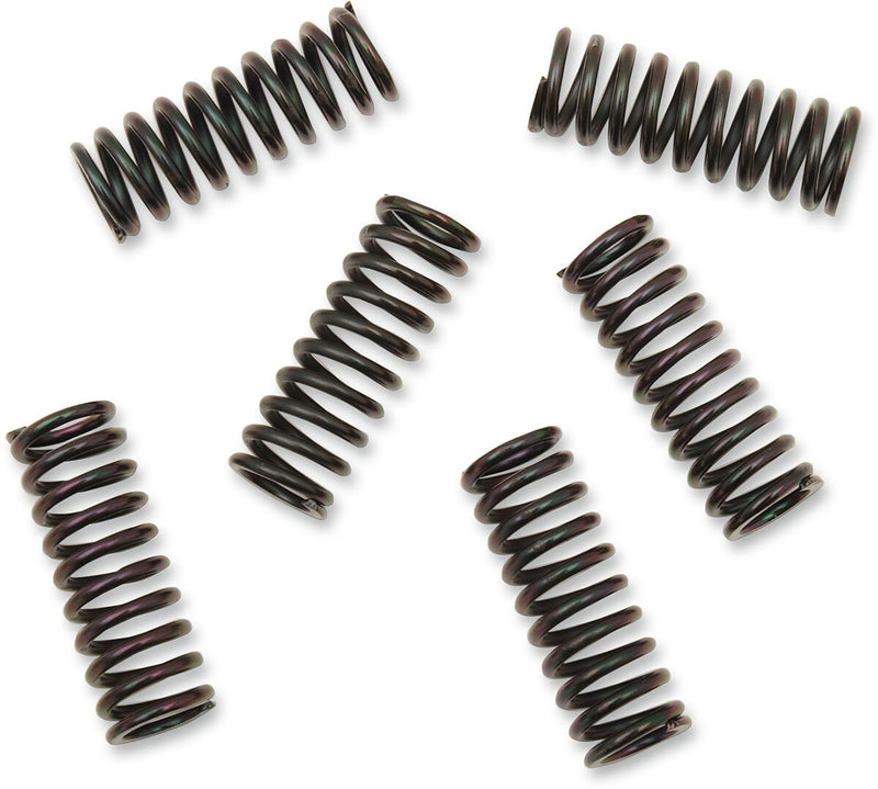 Clutch Spring Kit