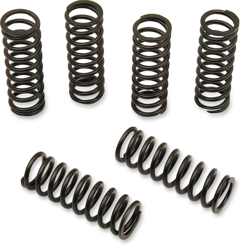 Clutch Spring Kit
