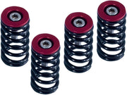 Clutch Spring Kit