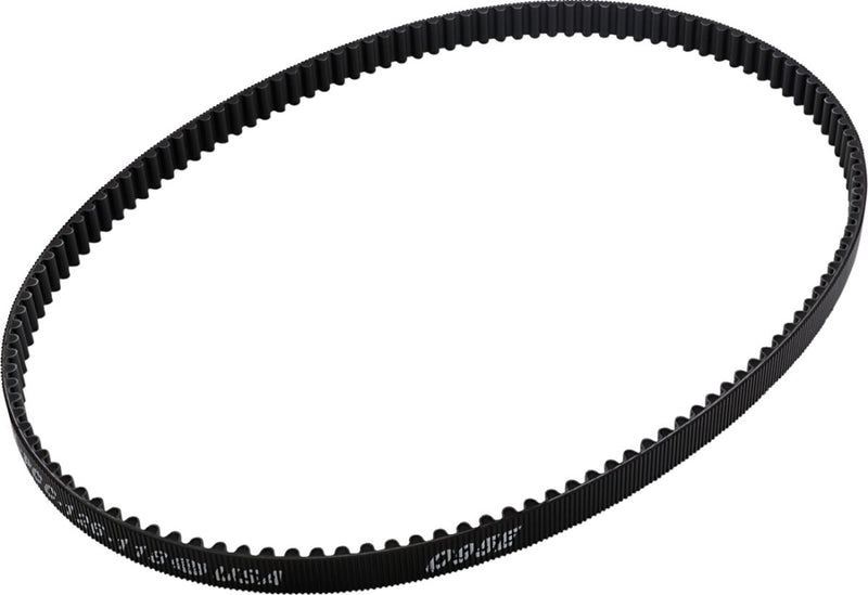 Belt Drives LTD Rear Drive Belt