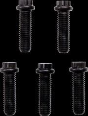 Universal Cush Drive Chain Conversion System
