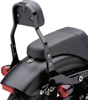 Cobra Detachable Backrest Kit #602-2021B