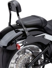 Cobra Detachable Backrest Kit #602-2027B