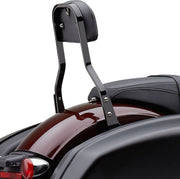 Cobra Detachable Backrest Kit #602-2051B