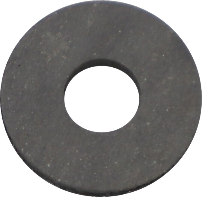 Replacement Washer