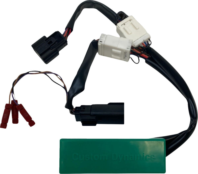 Custom Dynamics Smart Triple Play Controller