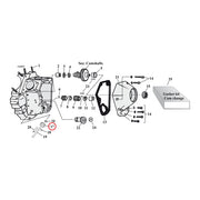 MCS Import, Oil Pump Driven Gear. 24T – 1973–1999 Big Twin