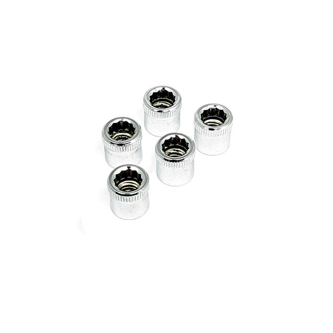 Gardner-Westcott 1/4-20 Chrome Allen Nut