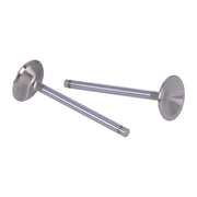 Manley Severe Duty Stainless Valves, Intake. STD – 1986–2003 XL883