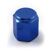 MCS Valve Stem Cap 19