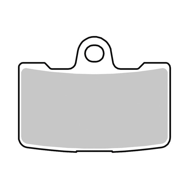 Trw Brake Pads Front. Sintered – 2008 Buell 1125r