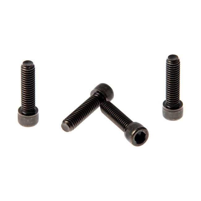 Cult-Werk Front Fender Bolt Kit. Black – 2010–2022 XL1200X Forty Eight; 2018–2020…