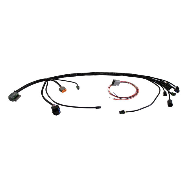 Universal EFI Wiring Harness – Custom Applications with 2001–2017 Style…