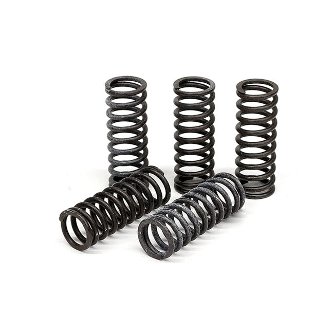 TRW Clutch Spring Kit – Triumph: 1996–2001 Adventurer T309 900…