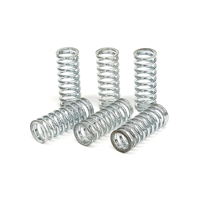 TRW Clutch Spring Kit – Honda: 1999–2005 Super Four CB NC39 400