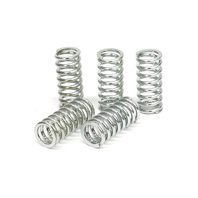 TRW Clutch Spring Kit – Honda: 1990–2001 Pan European ST SC26…