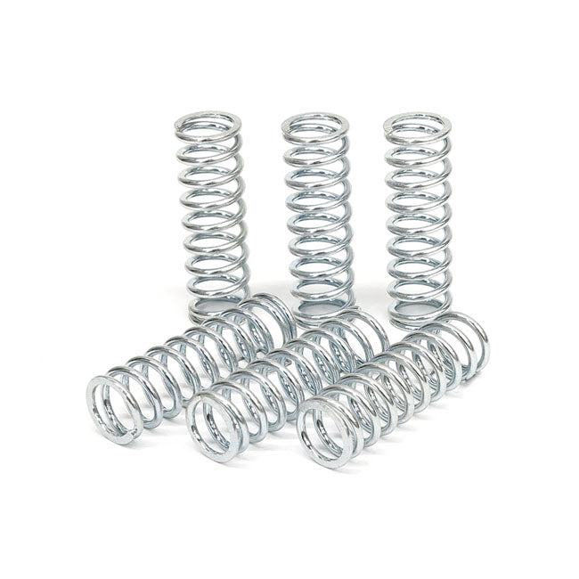 TRW Clutch Spring Kit – Honda: 2000–2003 SF X-eleven CB SC42…
