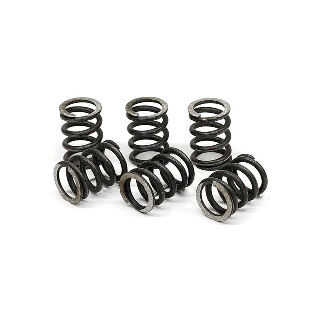 TRW Clutch Spring Kit – Suzuki: 1999–2001 R Hayabusa GSX A1…