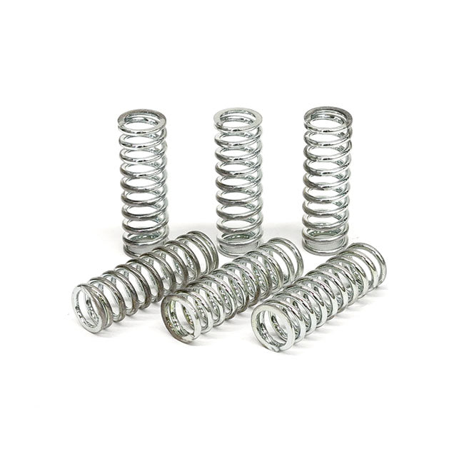 TRW Clutch Spring Kit – Yamaha: 1999–2001 TDM 4TX 850