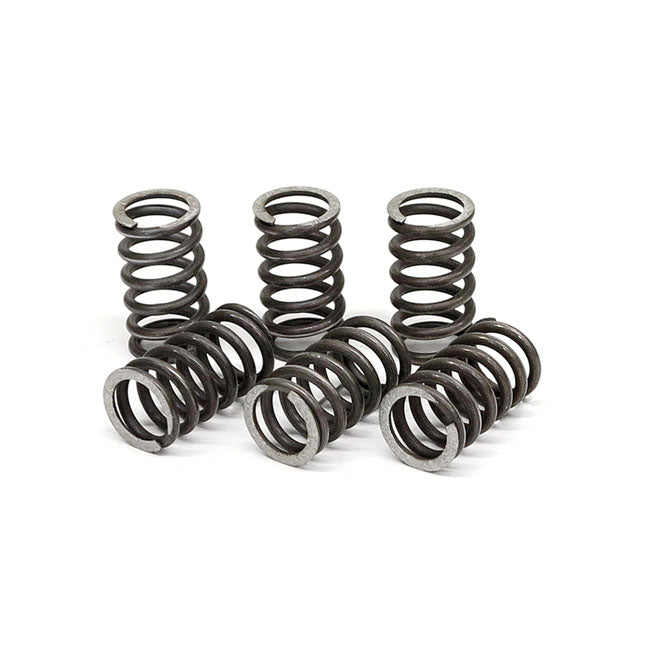 TRW Clutch Spring Kit – Kawasaki: 02-; 1996–2001 Ninja ZX-7R…