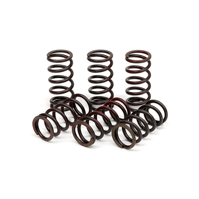 TRW Clutch Spring Kit – Kawasaki: 2004–2006; 2007–2010…