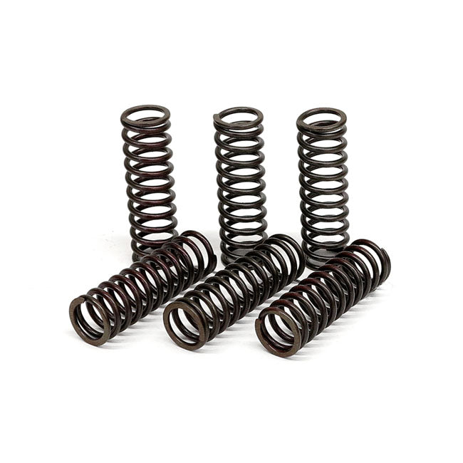 TRW Clutch Spring Kit – Yamaha: 2006–2016 YZF R6; 2017 YZF R6