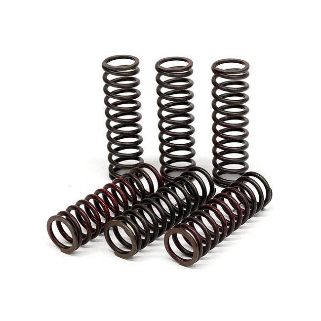 TRW Clutch Spring Kit – Suzuki: 2011–2016 GSXR C3 600; 2011–2016…