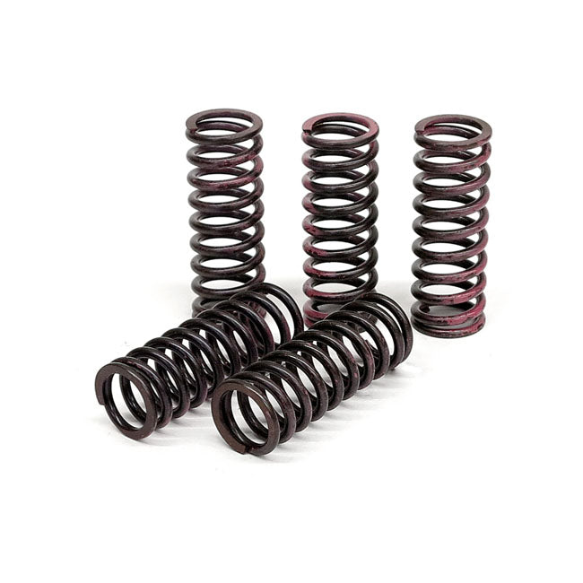 TRW Clutch Spring Kit – Honda: 2004–2007 RR CBR SC57 1000