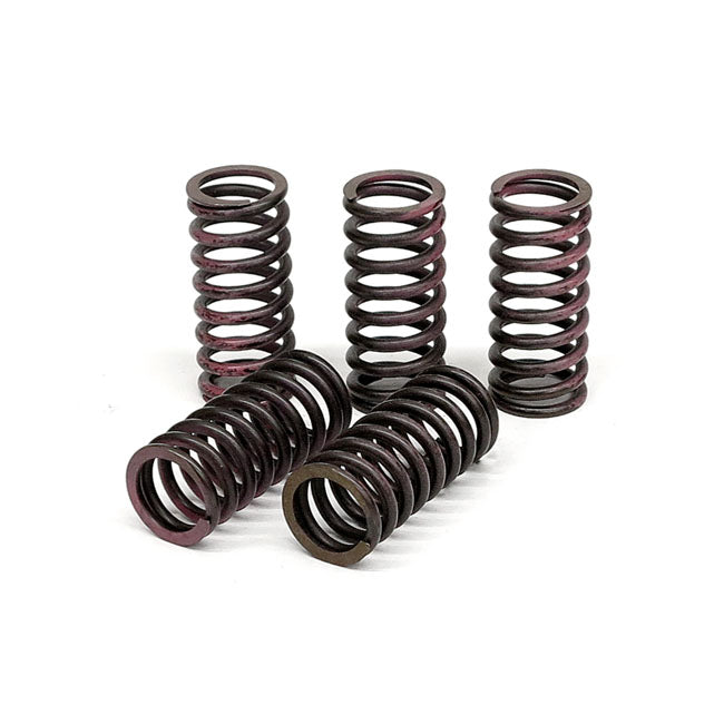 TRW Clutch Spring Kit – Honda: 1995–1999 C2 VT SC32 1100…