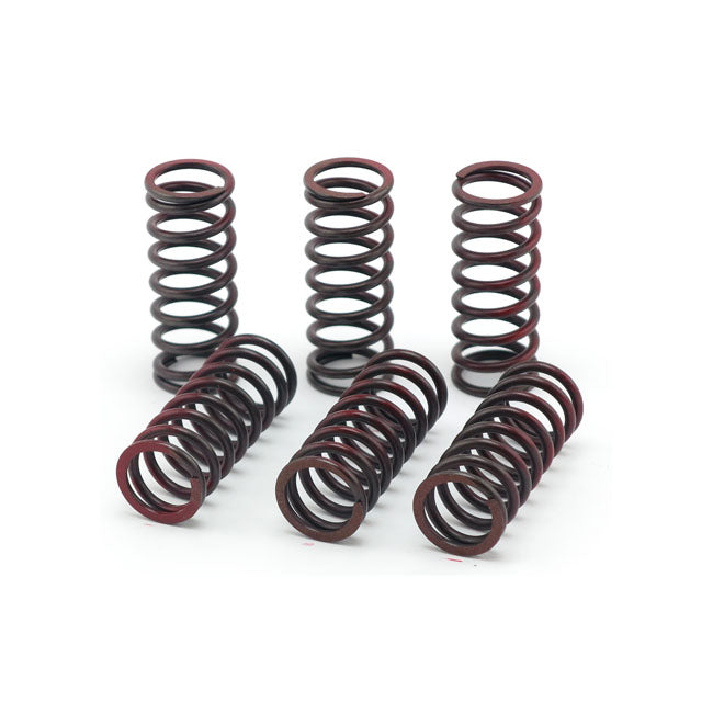 TRW Clutch Spring Kit – Aprilia: 2009–2013 Factory; R RSV4 RK…