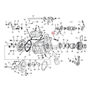 MCS Spring, Cam Follower – 1980–1999 5-Speed Big Twin