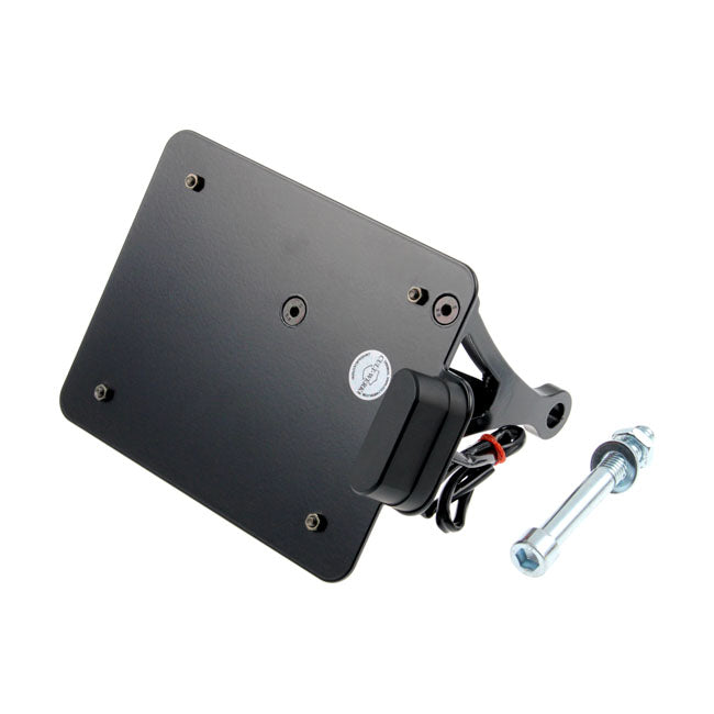 Cult-Werk Side Mount Licence Plate Bracket. Switzerland – 2002–2017 V-Rod