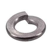 Gardner-Westcott SS Lockwasher, 1/4 Inch - 25 Pack