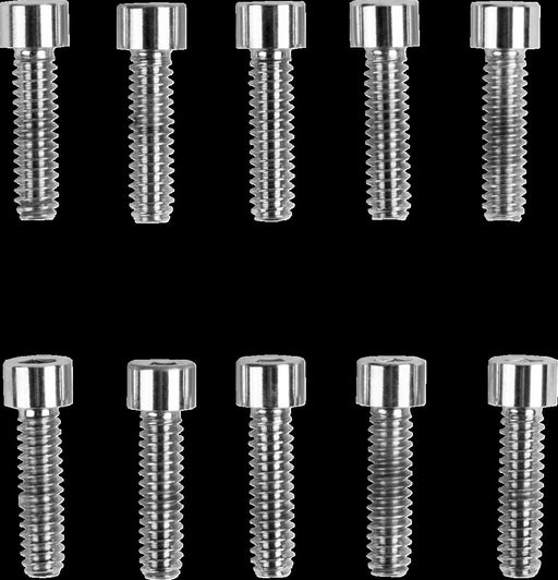Drag Specialties Replacement Socket-Head Bolts Chrome Polished Silver Coarse Thread Smooth 10 Pack