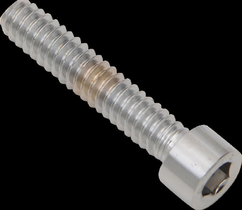 Drag Specialties Replacement Socket-Head Bolts Chrome Polished Silver Coarse Thread Smooth 10 Pack