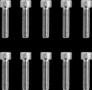 Drag Specialties Replacement Socket-Head Bolts Chrome Polished Silver Fine Thread Knurled 10 Pack